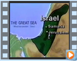 Our Roots
